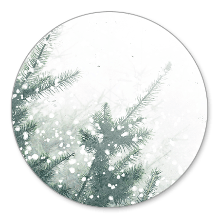 Kerstbomen met sneeuw